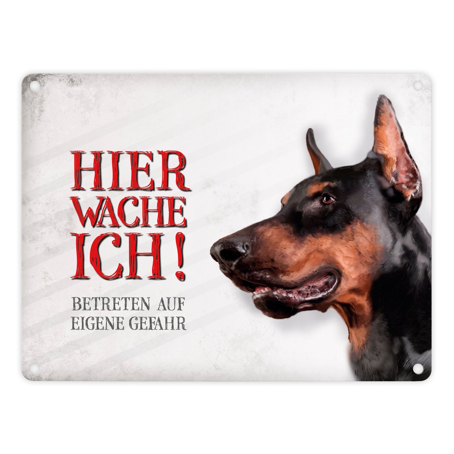 Metallschild mit Dobermann Motiv und Spruch: Betreten auf eigene Gefahr ...