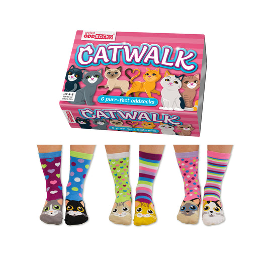 Oddsocks Catwalk Socken im 6er Set