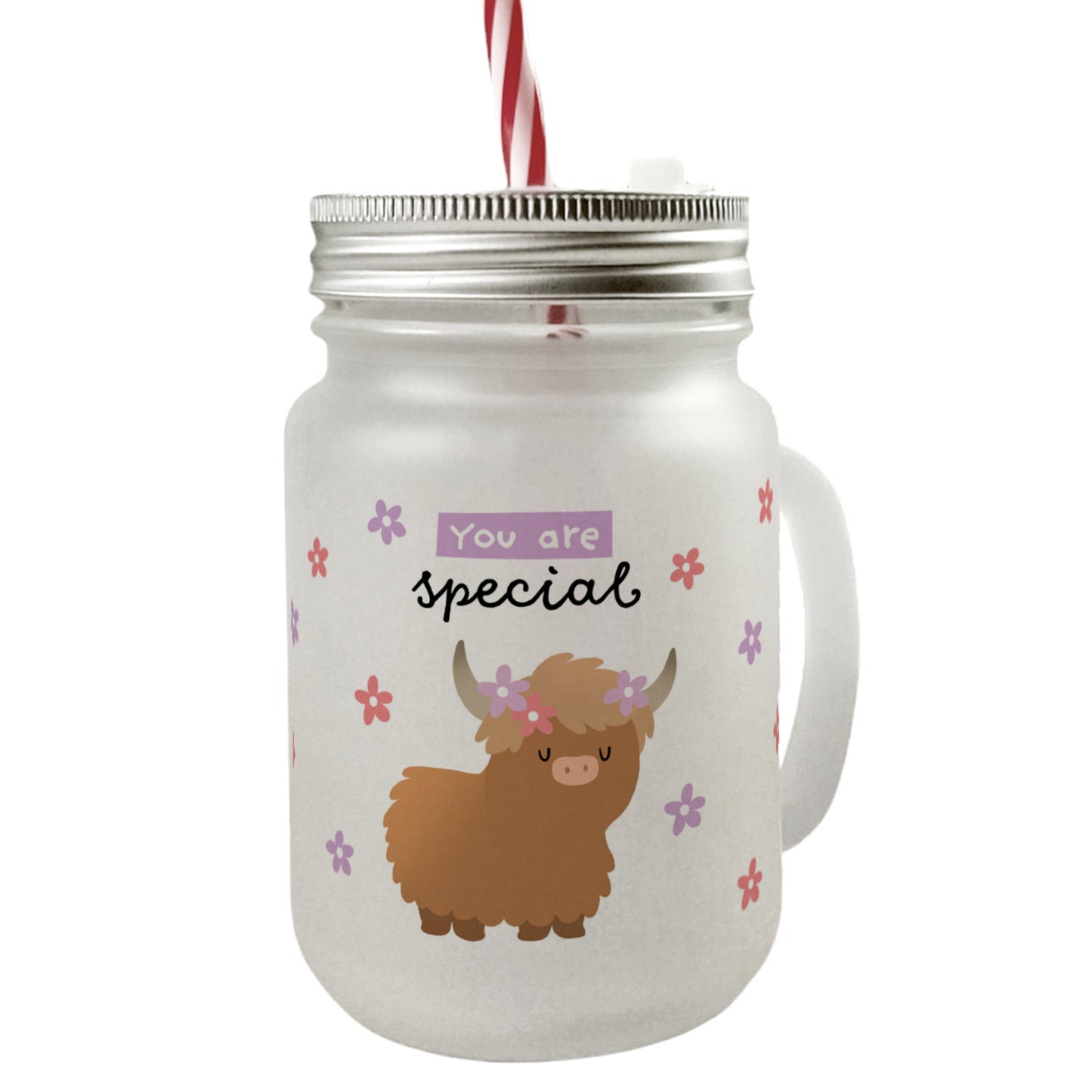 Schottisches Hochlandrind Mason Jar Henkel Trinkglas mit Deckel mit Spruch You are special