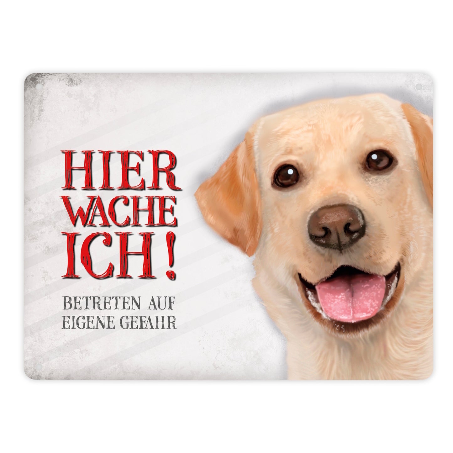 Metallschild XL mit Labrador Motiv und Spruch: Betreten auf eigene Gefahr ...