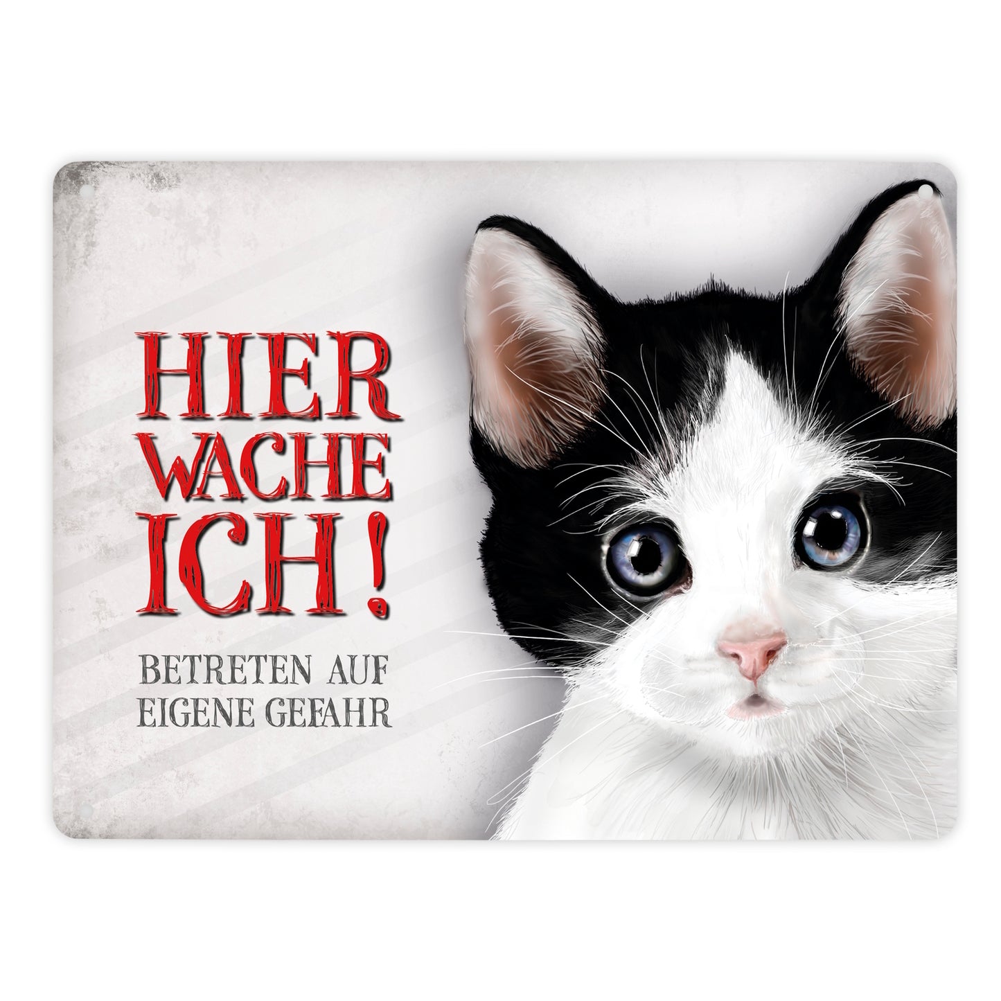 Metallschild XL mit Katze Motiv und Spruch: Betreten auf eigene Gefahr ...