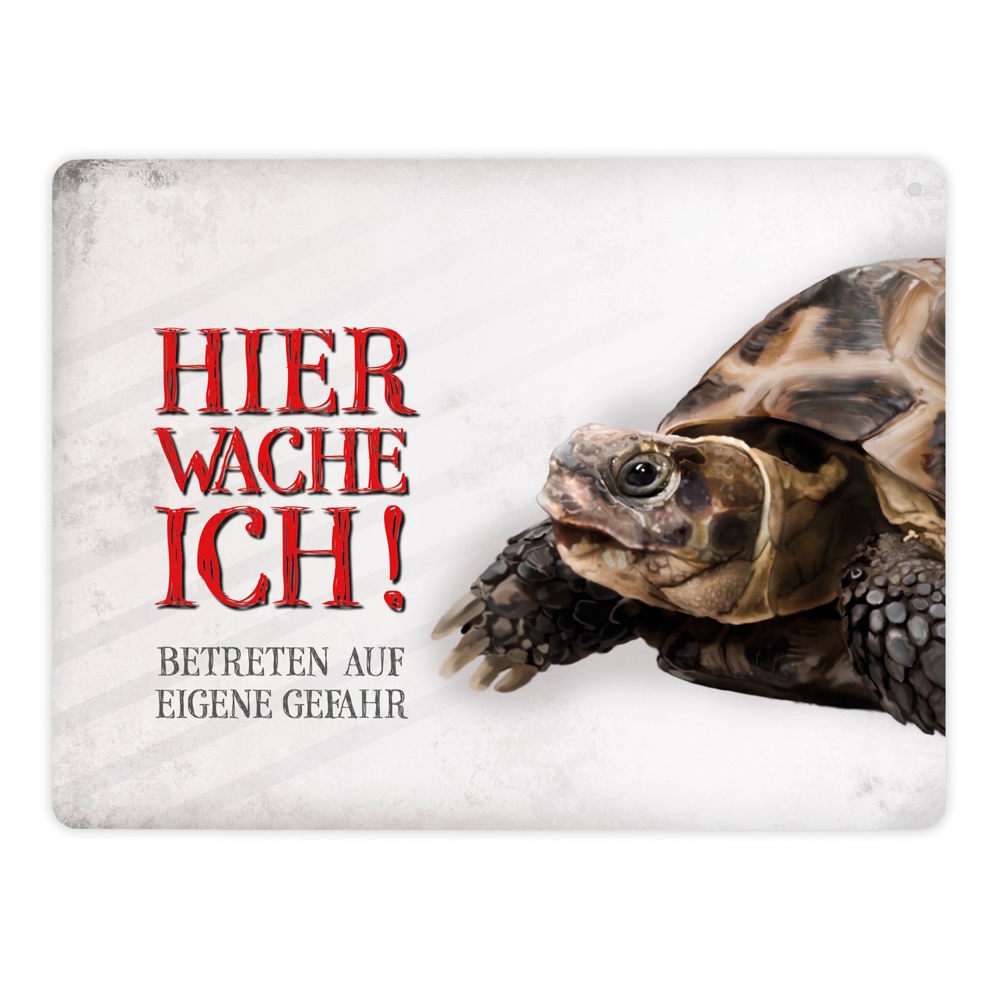 Metallschild XL mit Schildkröte Motiv und Spruch: Betreten auf eigene Gefahr ...