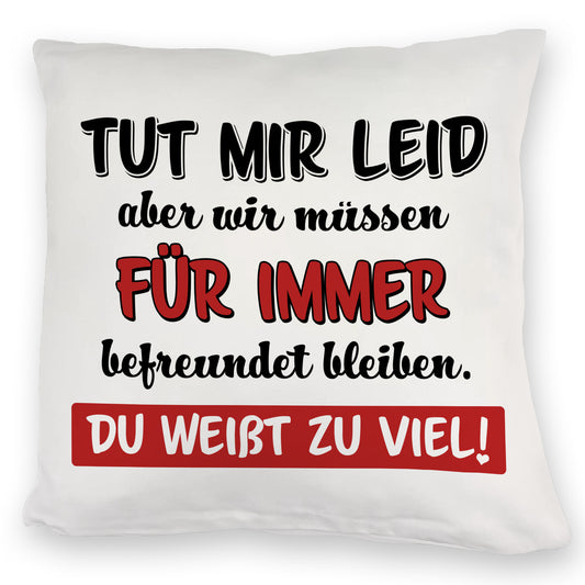 Freundschaft Kuschelkissen mit Spruch Tut mir Leid wir müssen befreundet bleiben