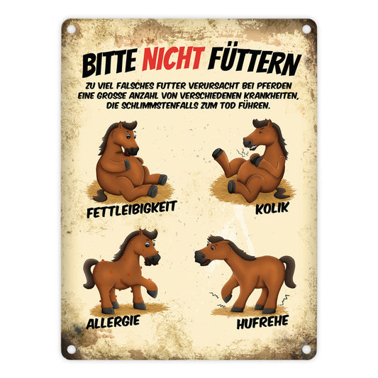 Metallschild mit Pferde Motiv und Spruch: Bitte nicht füttern