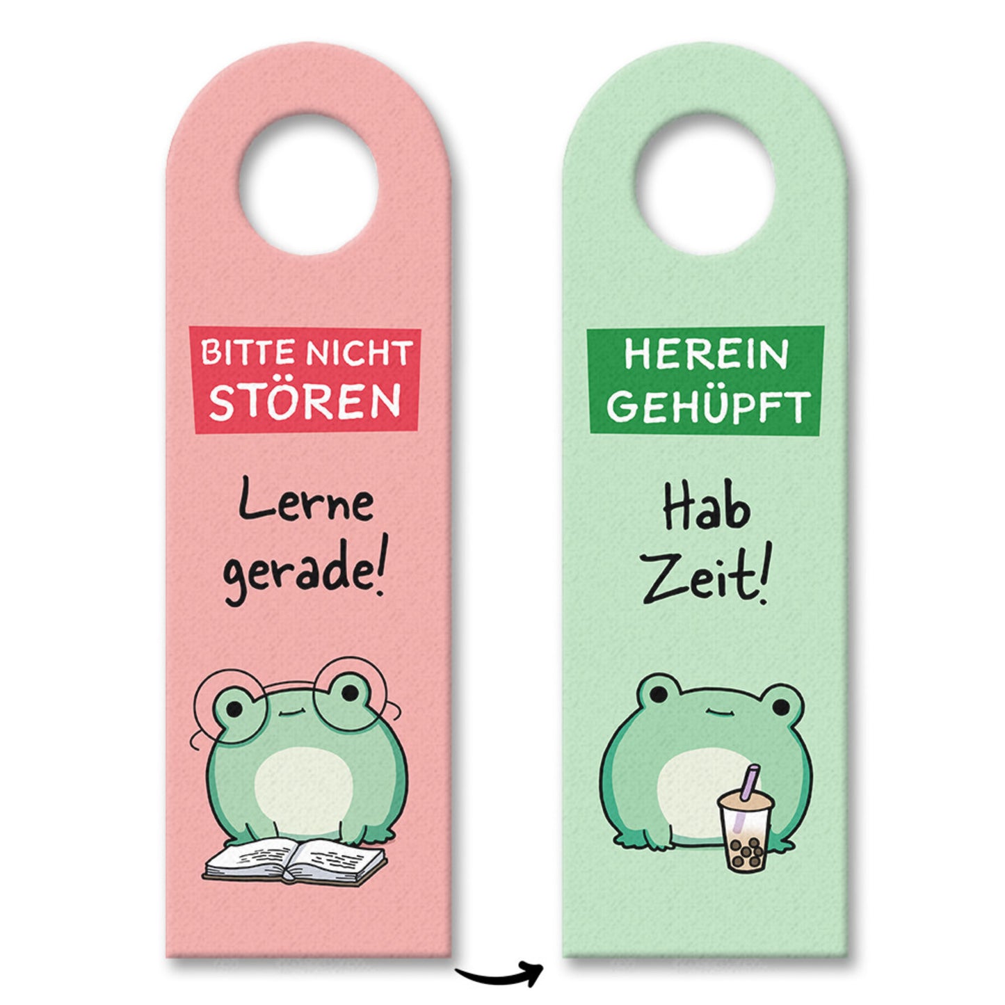 Frosch mit Brille Türhänger mit Spruch Bitte nicht stören Lerne gerade