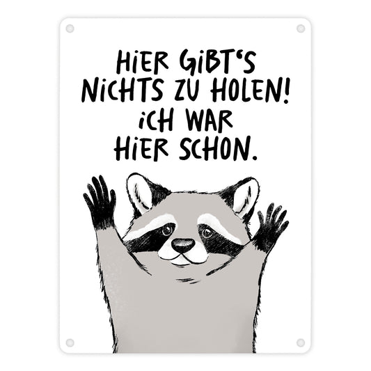 Waschbär Metallschild in 15x20 cm mit Spruch Hier gibts nichts zu holen