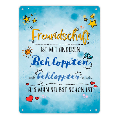 Metallschild XL in 21x28 cm mit lustigem Spruch zu Freundschaft