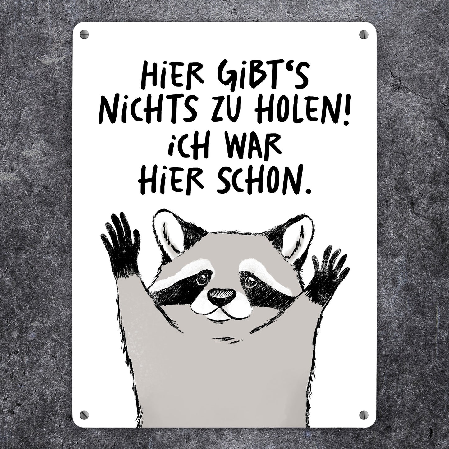 Waschbär Metallschild XL in 21x28 cm mit Spruch Hier gibts nichts zu holen