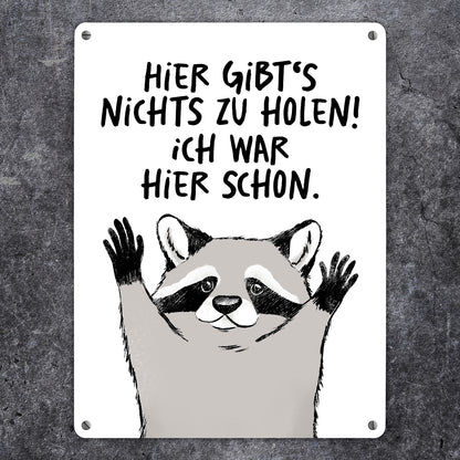 Waschbär Metallschild XL in 21x28 cm mit Spruch Hier gibts nichts zu holen