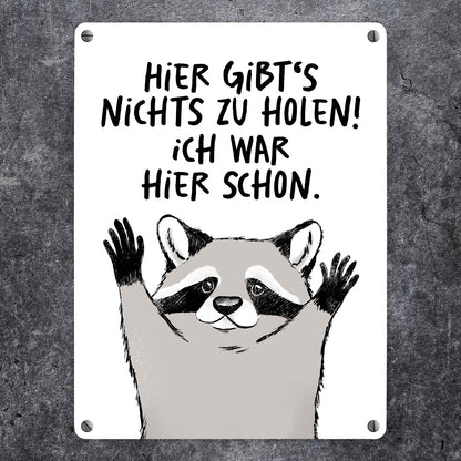 Waschbär Metallschild in 15x20 cm mit Spruch Hier gibts nichts zu holen