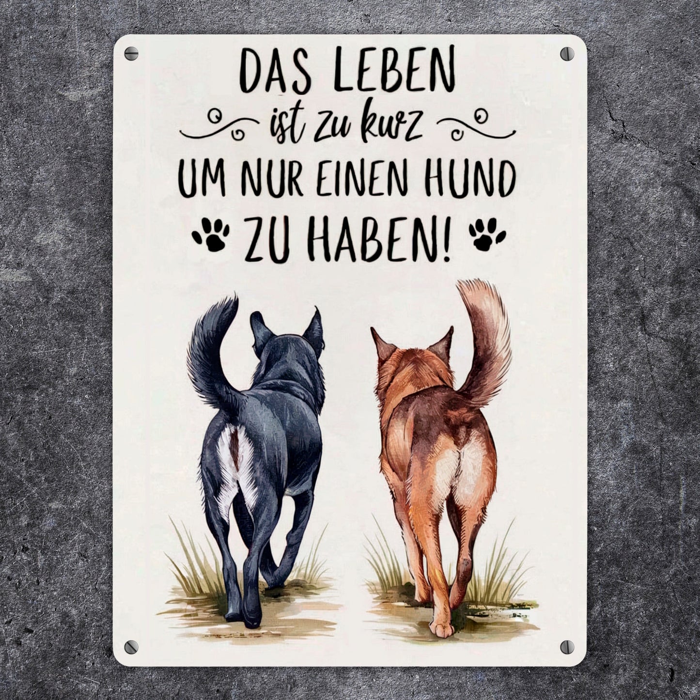 Zwei Hunde - Leben ist zu kurz Metallschild XL in 21x28 cm