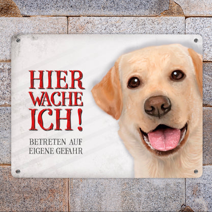 Metallschild XL mit Labrador Motiv und Spruch: Betreten auf eigene Gefahr ...