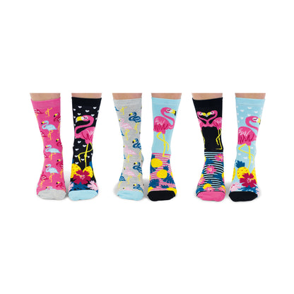 Go Flamingo Oddsocks Socken in 37-42 im 6er Set