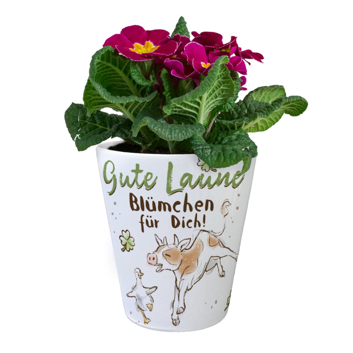 Kuh und Gans Blumentopf mit Spruch Gute Laune Blümchen für dich