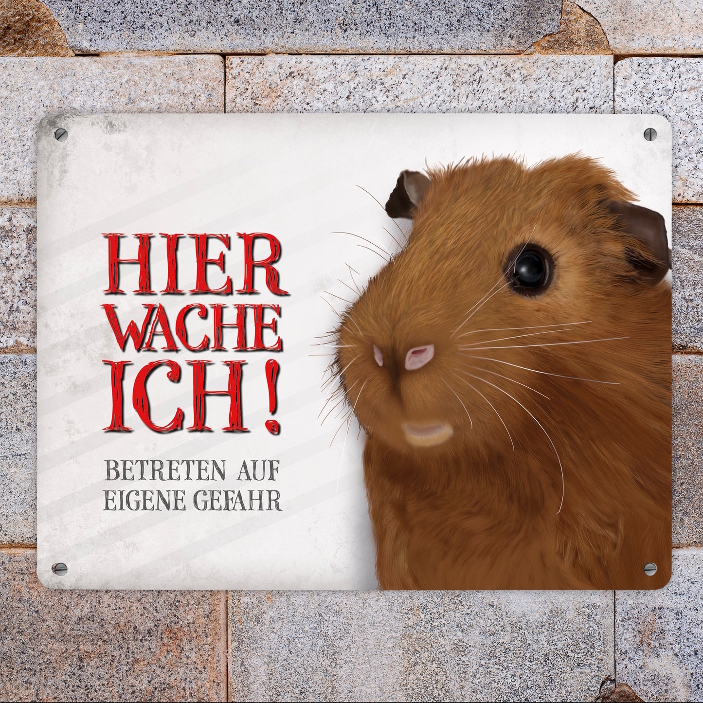 Metallschild XL mit Meerschweinchen Motiv und Spruch: Betreten auf eigene Gefahr ...