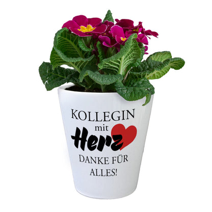 Kollegin mit Herz Danke für alles Blumentopf