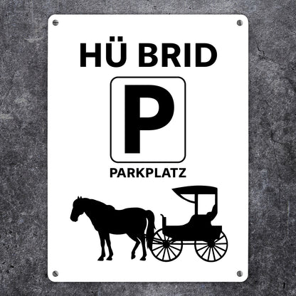 Pferd mit Kutsche Metallschild XL in 21x28 cm mit Spruch Hü brid