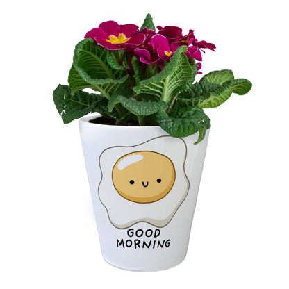 Jelly & Friends Spiegelei Blumentopf mit Spruch Good Morning