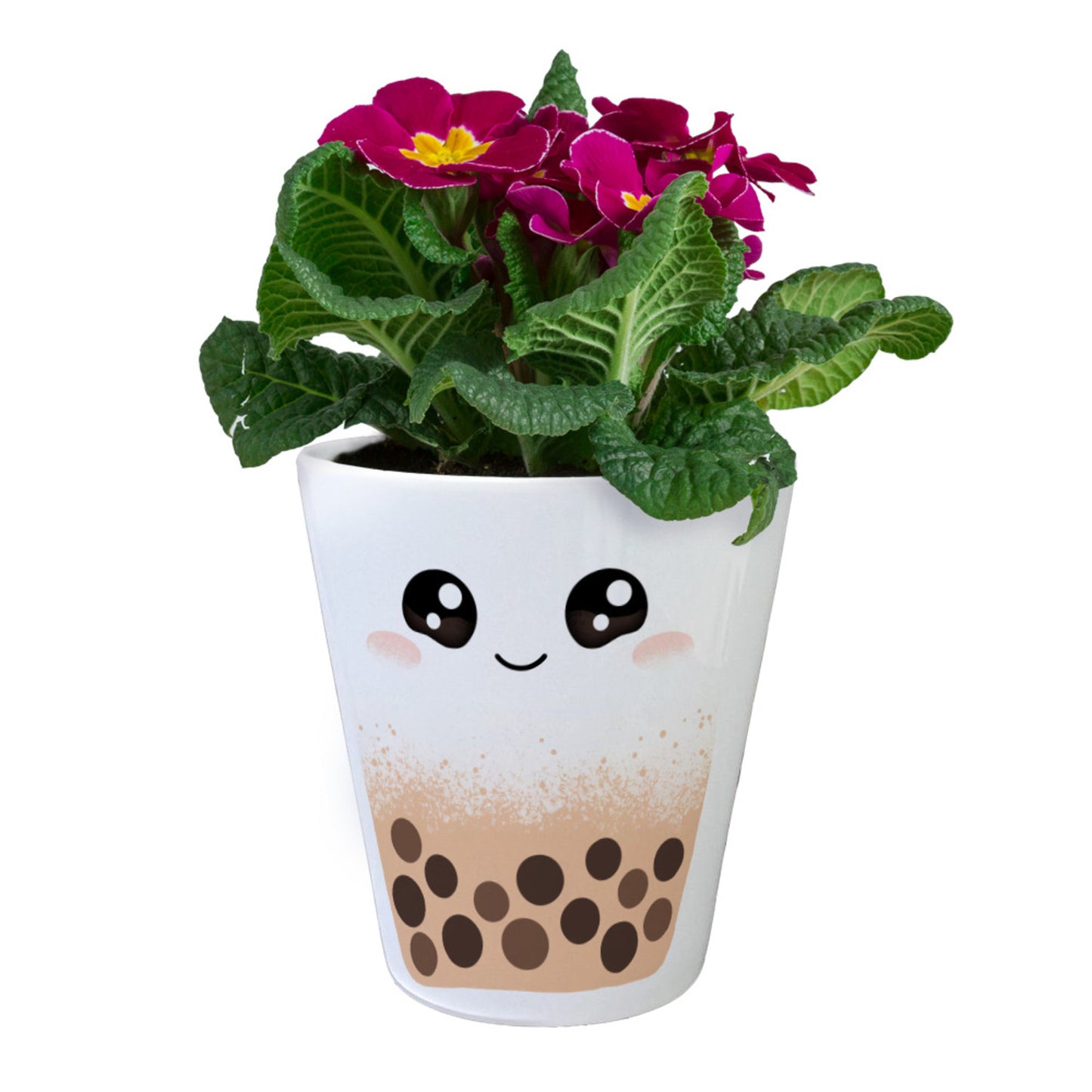 Bubble Tea Blumentopf in orange