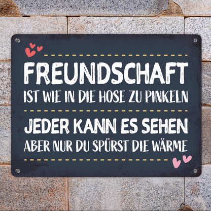 Metallschild XL mit Herz Motiv und Spruch: Freundschaft ist wie in die ...