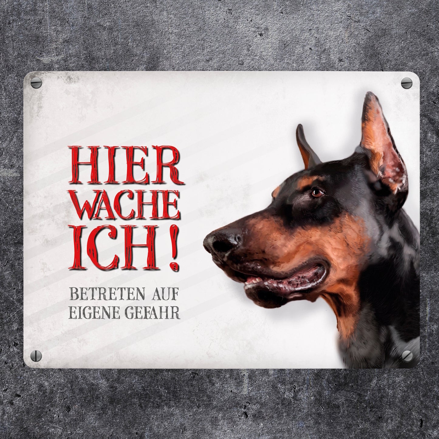 Metallschild mit Dobermann Motiv und Spruch: Betreten auf eigene Gefahr ...