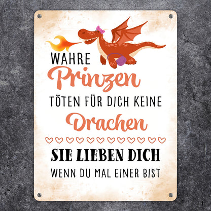 Prinzen töten keine Drachen Metallschild XL in 21x28 cm zum Valentinstag