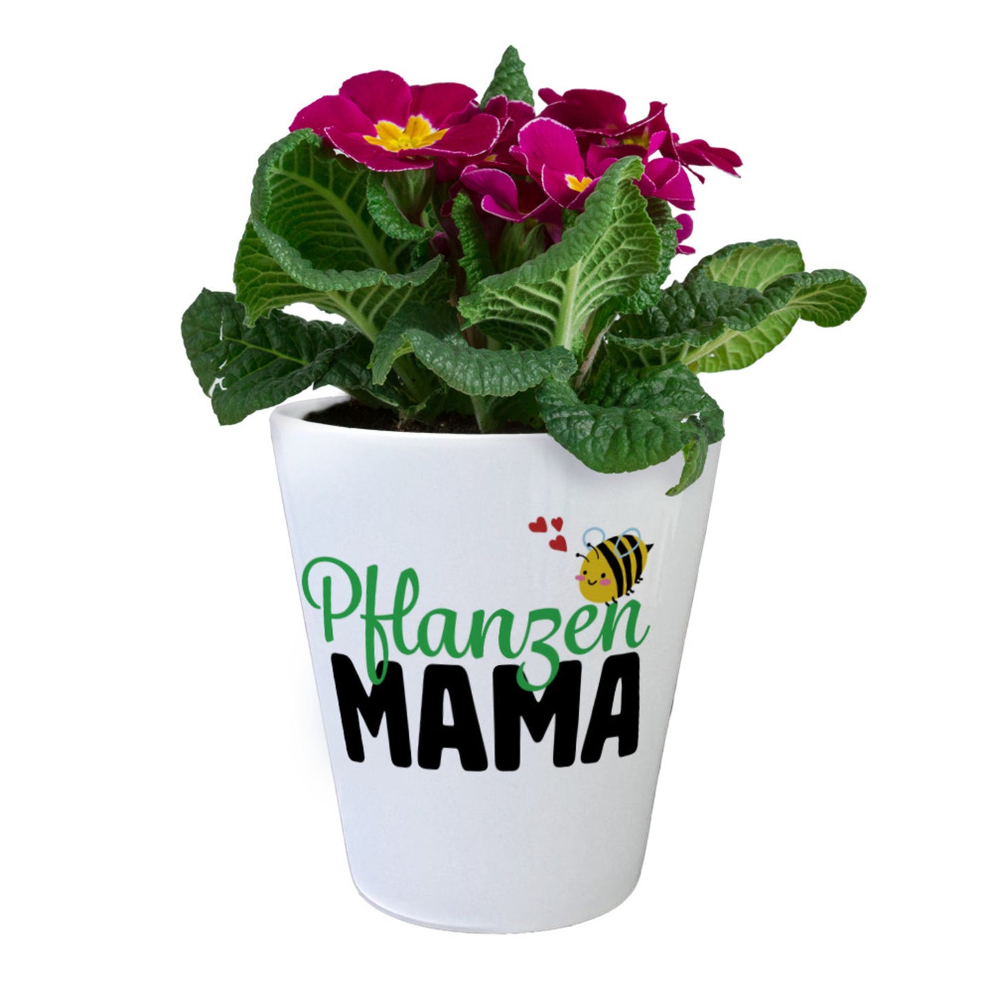 Pflanzen Mama Blumentopf mit niedlicher Biene