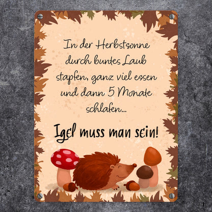 Winterschlaf Herbst Metallschild in 15x20 cm mit Spruch - Igel muss man sein