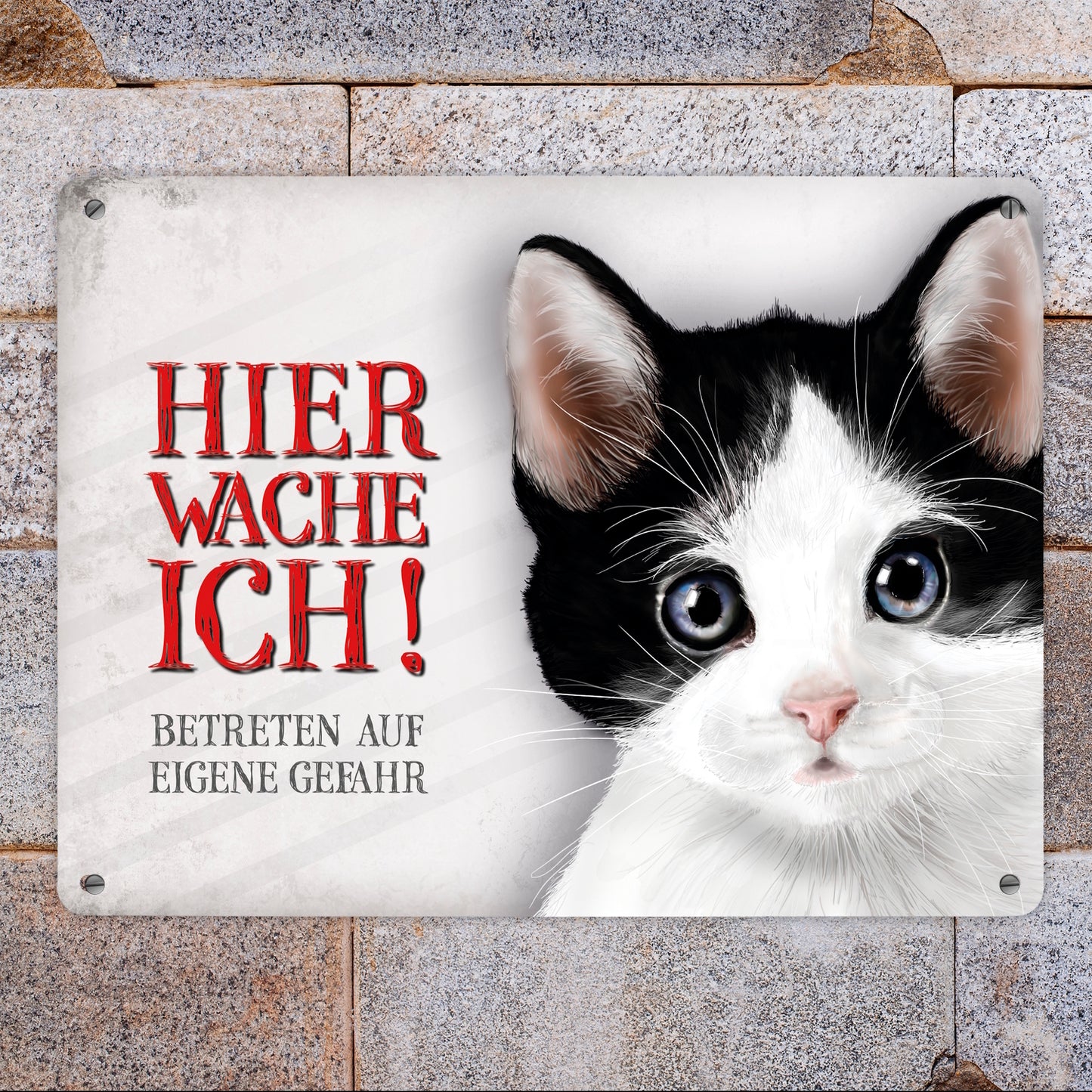 Metallschild XL mit Katze Motiv und Spruch: Betreten auf eigene Gefahr ...