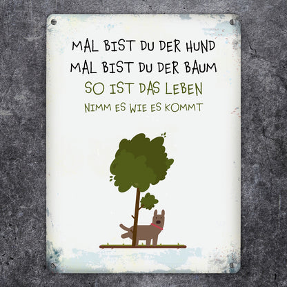 Metallschild XL mit Spruch: Mal bist du der Hund, mal ...