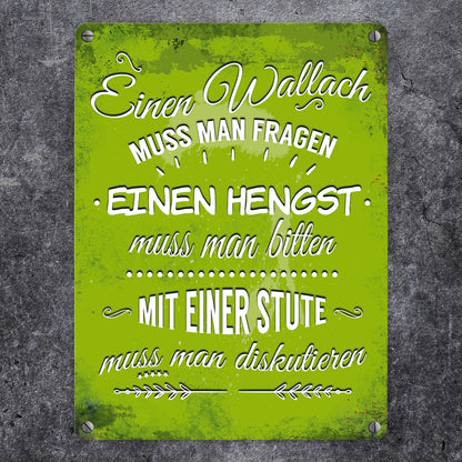 Metallschild mit Reiter Motiv und Spruch: Einen Wallach muss man fragen, ...