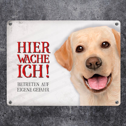 Metallschild mit Labrador Motiv und Spruch: Betreten auf eigene Gefahr ...