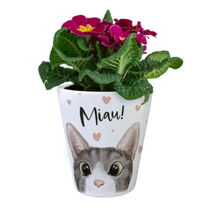 Miau Katze Blumentopf