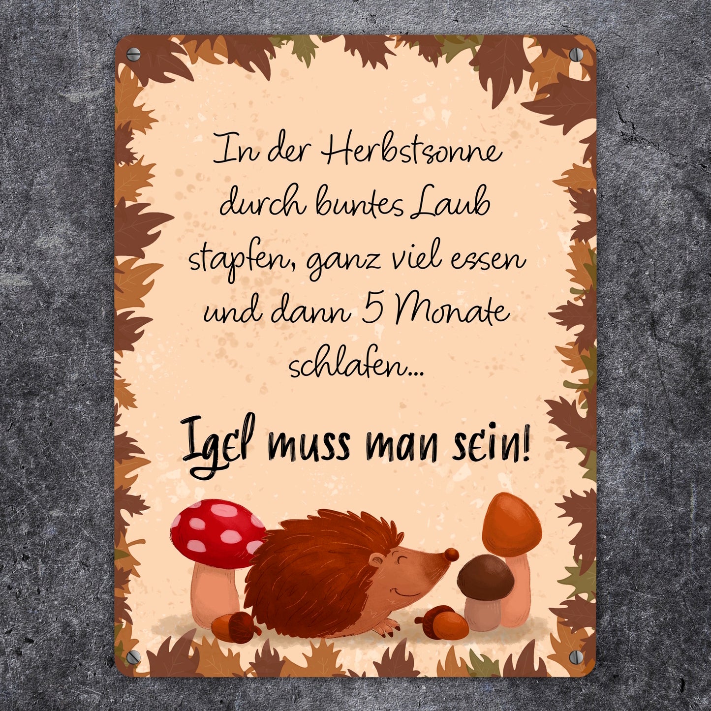 Winterschlaf Herbst Metallschild XL in 21x28 cm mit Spruch - Igel muss man sein