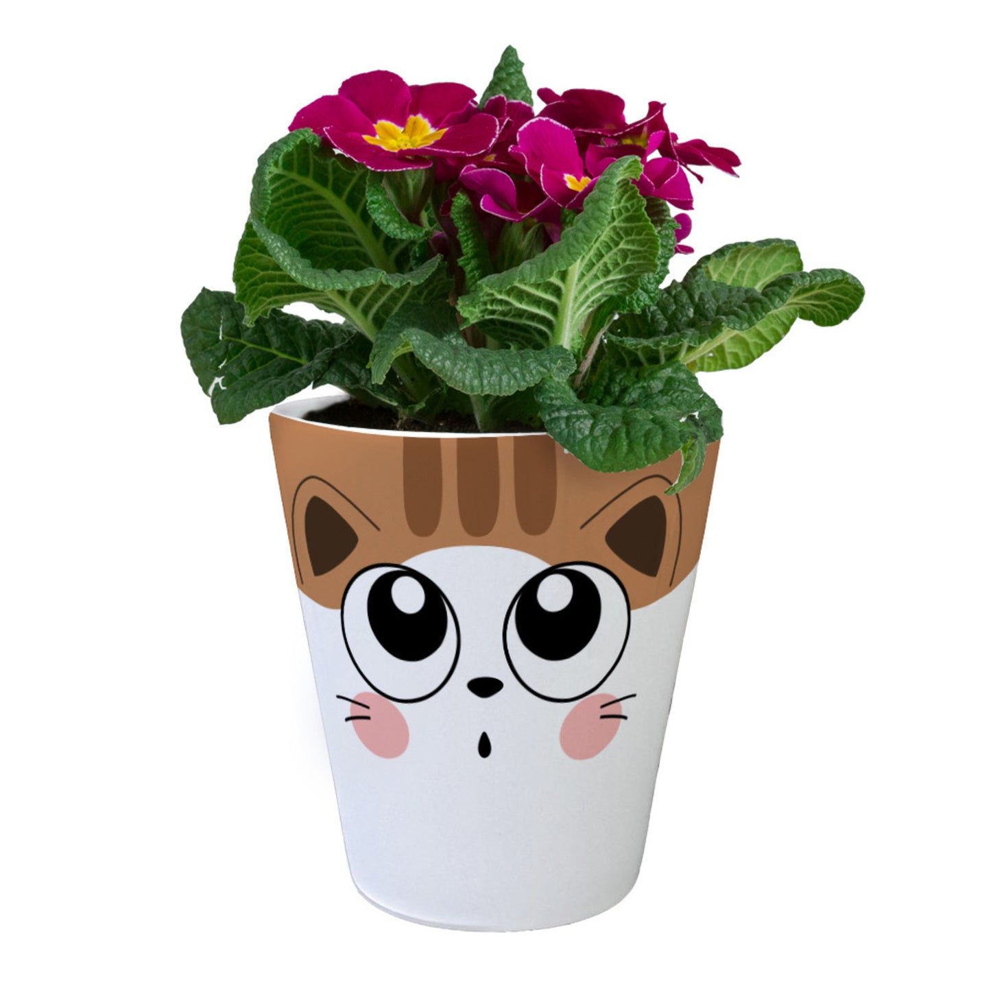 Katzen Blumentopf mit brauner Katze