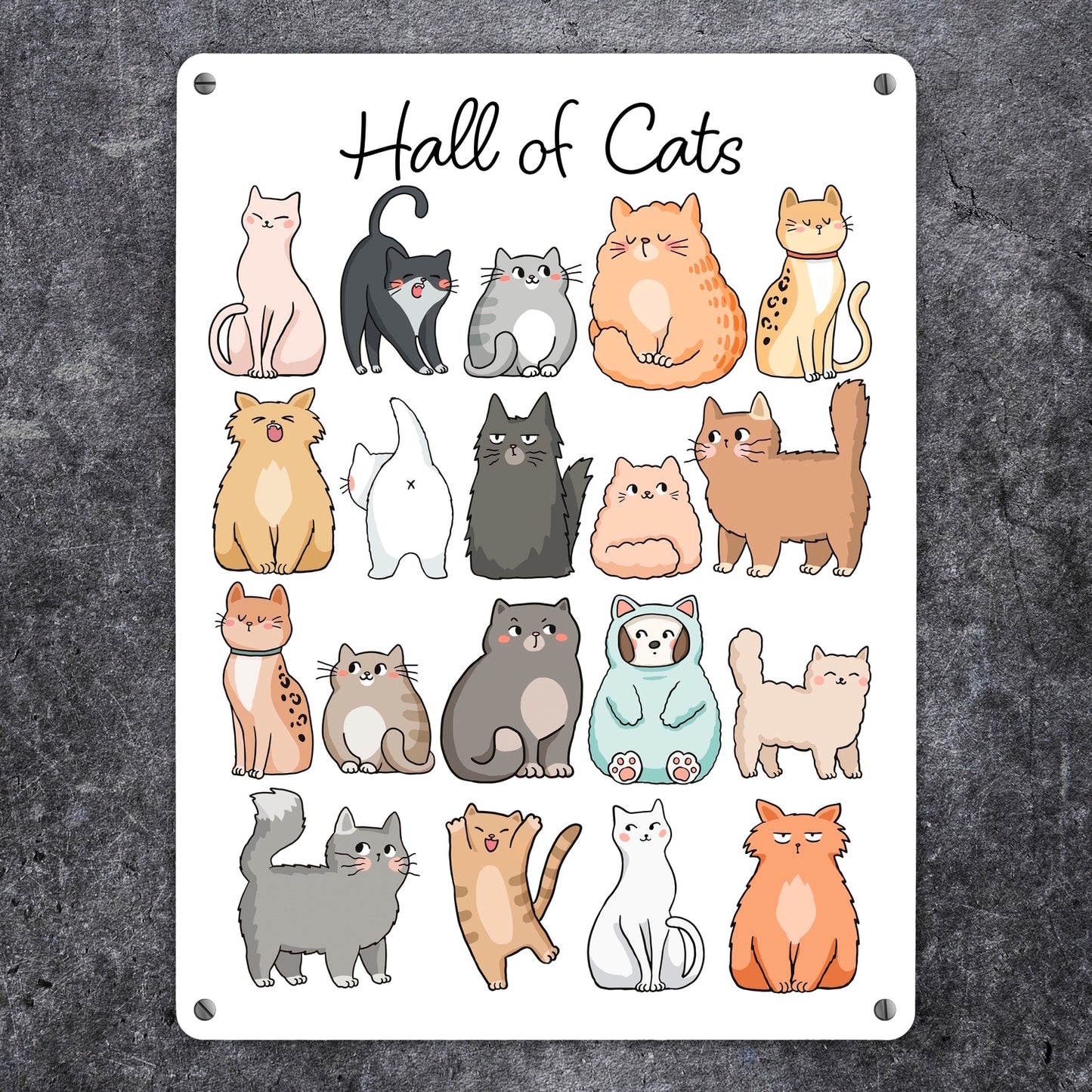 Hall of Cats Katzen Metallschild XL in 21x28 cm