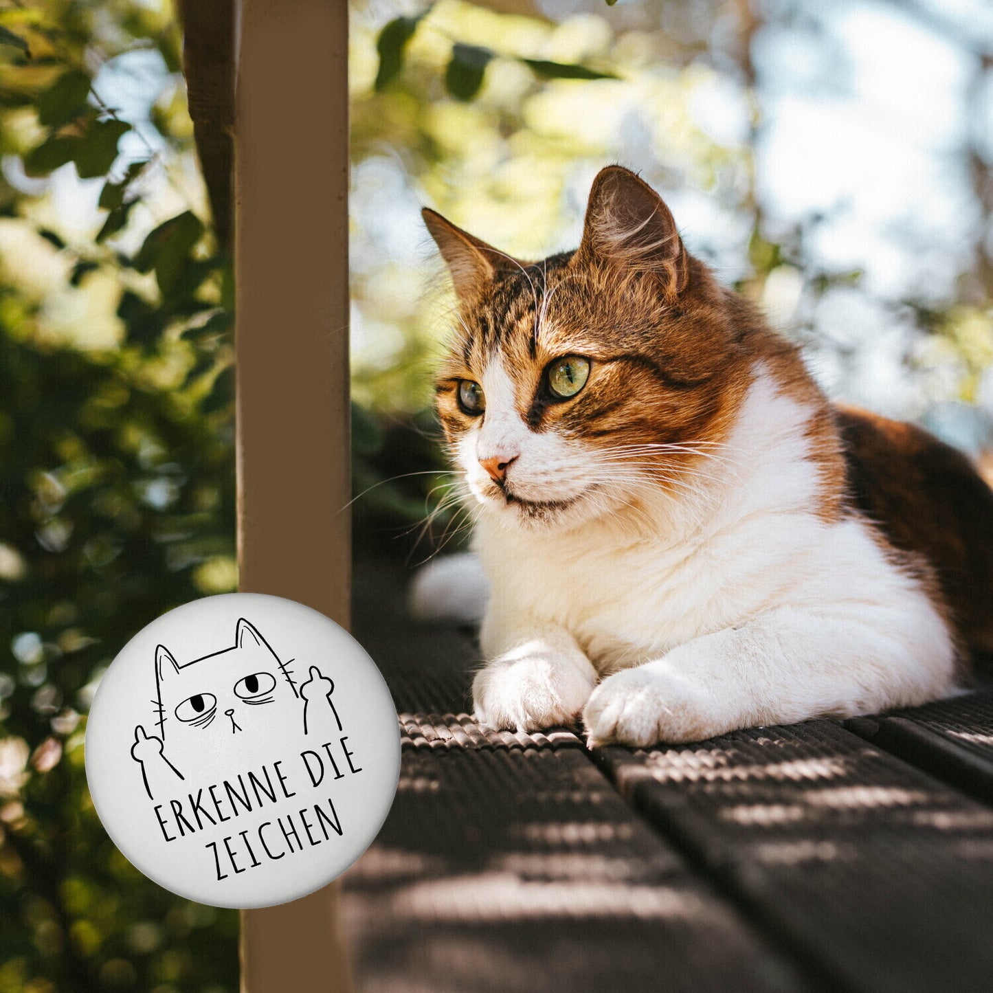 Katze mit Mittelfinger Magnet rund mit Spruch Erkenne die Zeichen