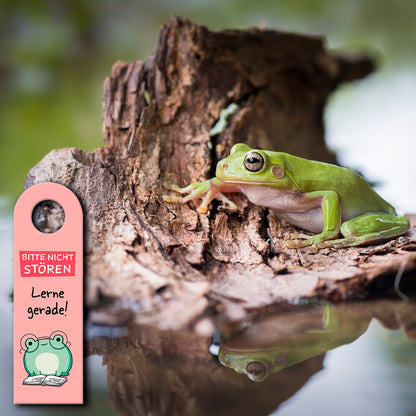 Frosch mit Brille Türhänger mit Spruch Bitte nicht stören Lerne gerade