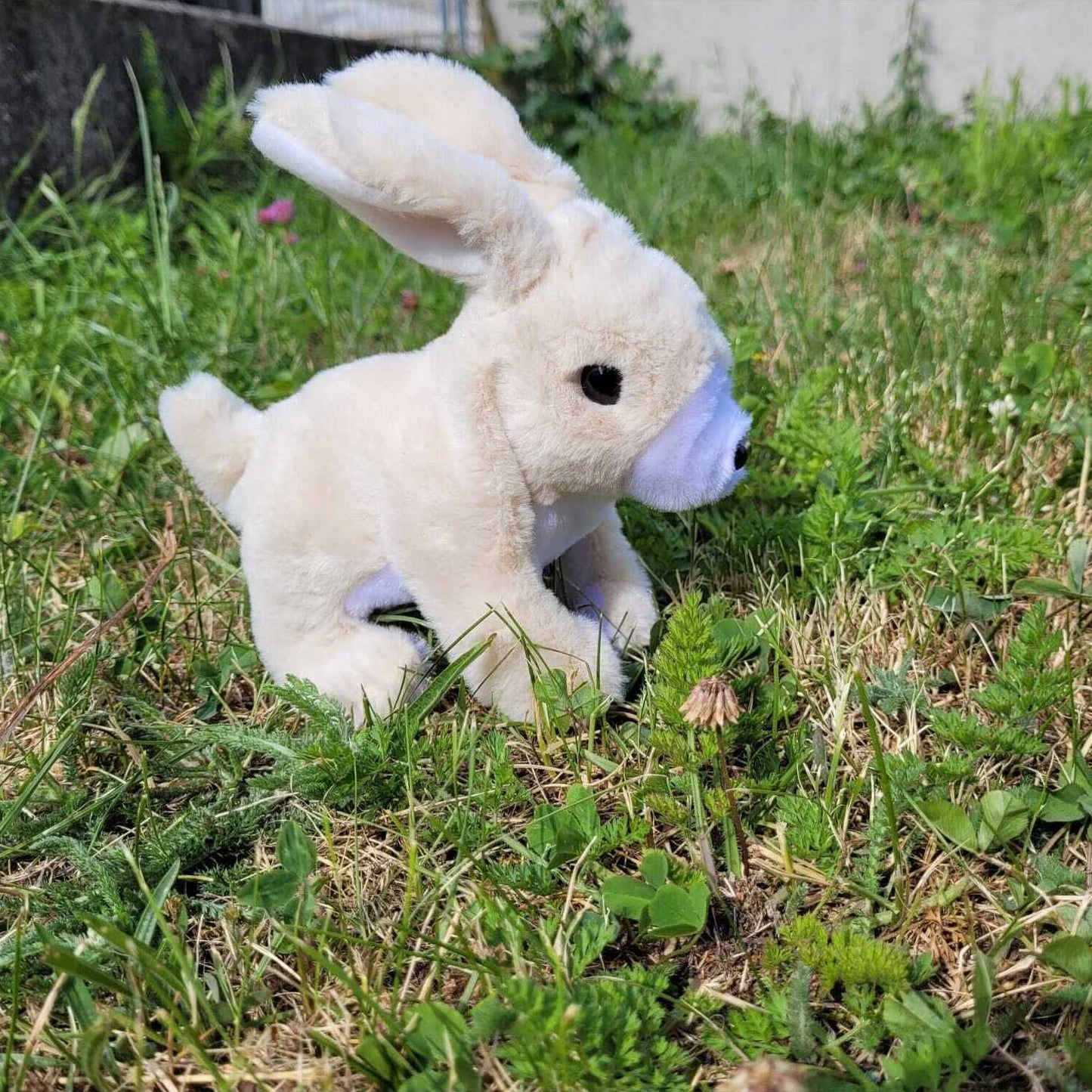 Hase Kuscheltier mit Lauffunktion und Sound