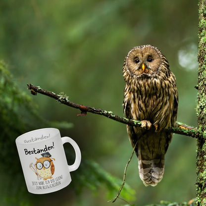 Bestandene Prüfung Eule Glas Tasse mit Spruch Lizenz zum Klugscheißen