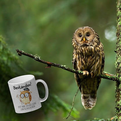 Bestandene Prüfung Eule Glitzer-Kaffeebecher mit Spruch Lizenz zum Klugscheißen