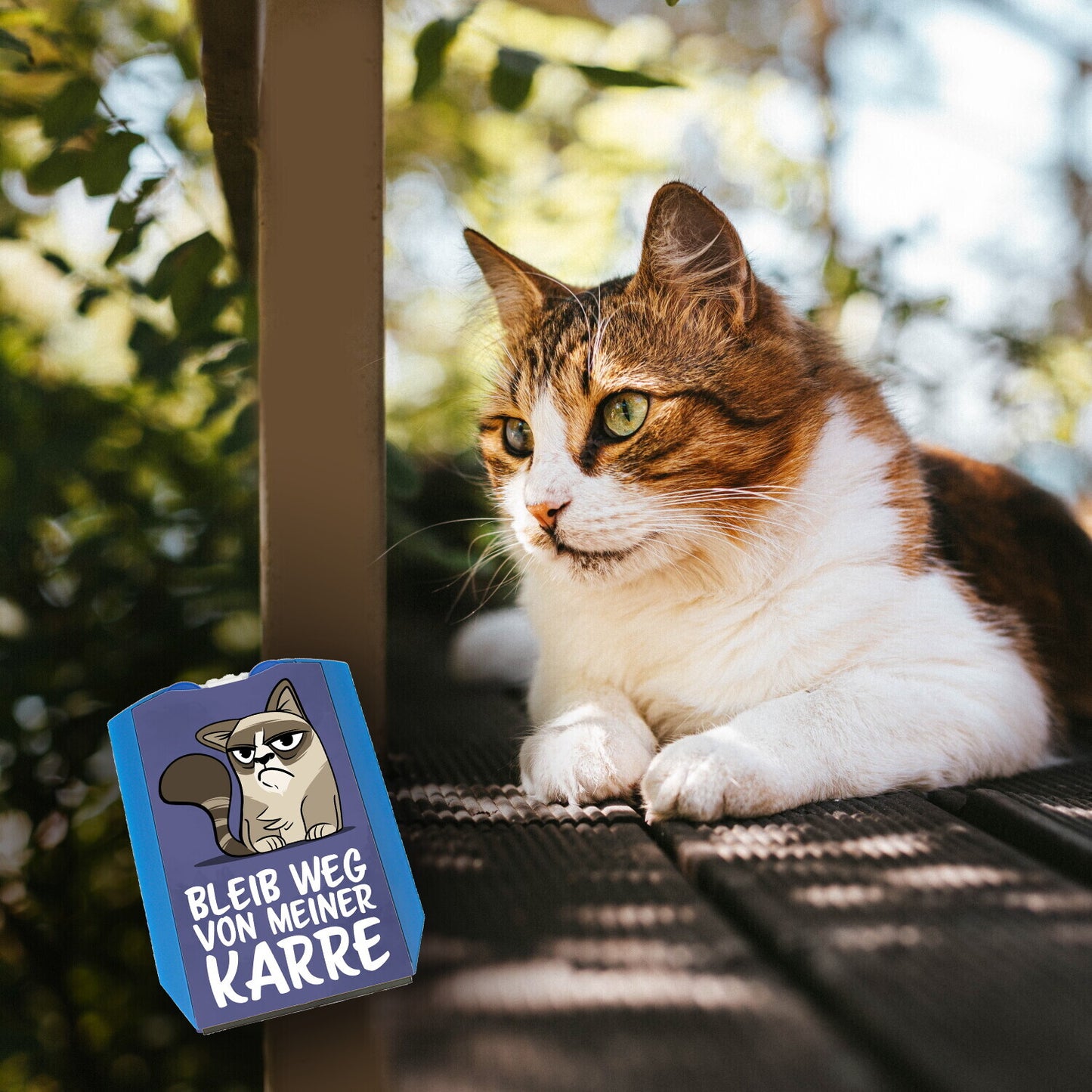 Bleib weg von meiner Karre Parkscheibe mit Katze mit 2 Einkaufswagenchips