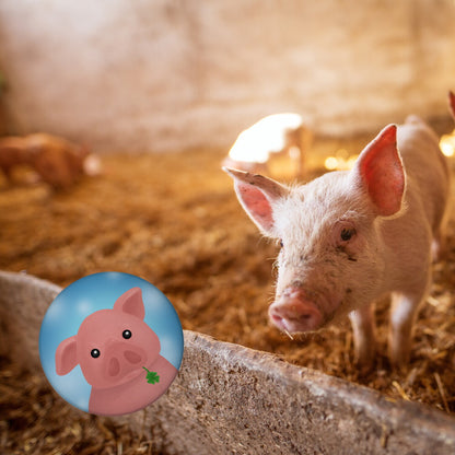 Schweinchen Glücksbringer Magnet rund rund