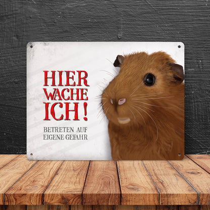 Metallschild XL mit Meerschweinchen Motiv und Spruch: Betreten auf eigene Gefahr ...