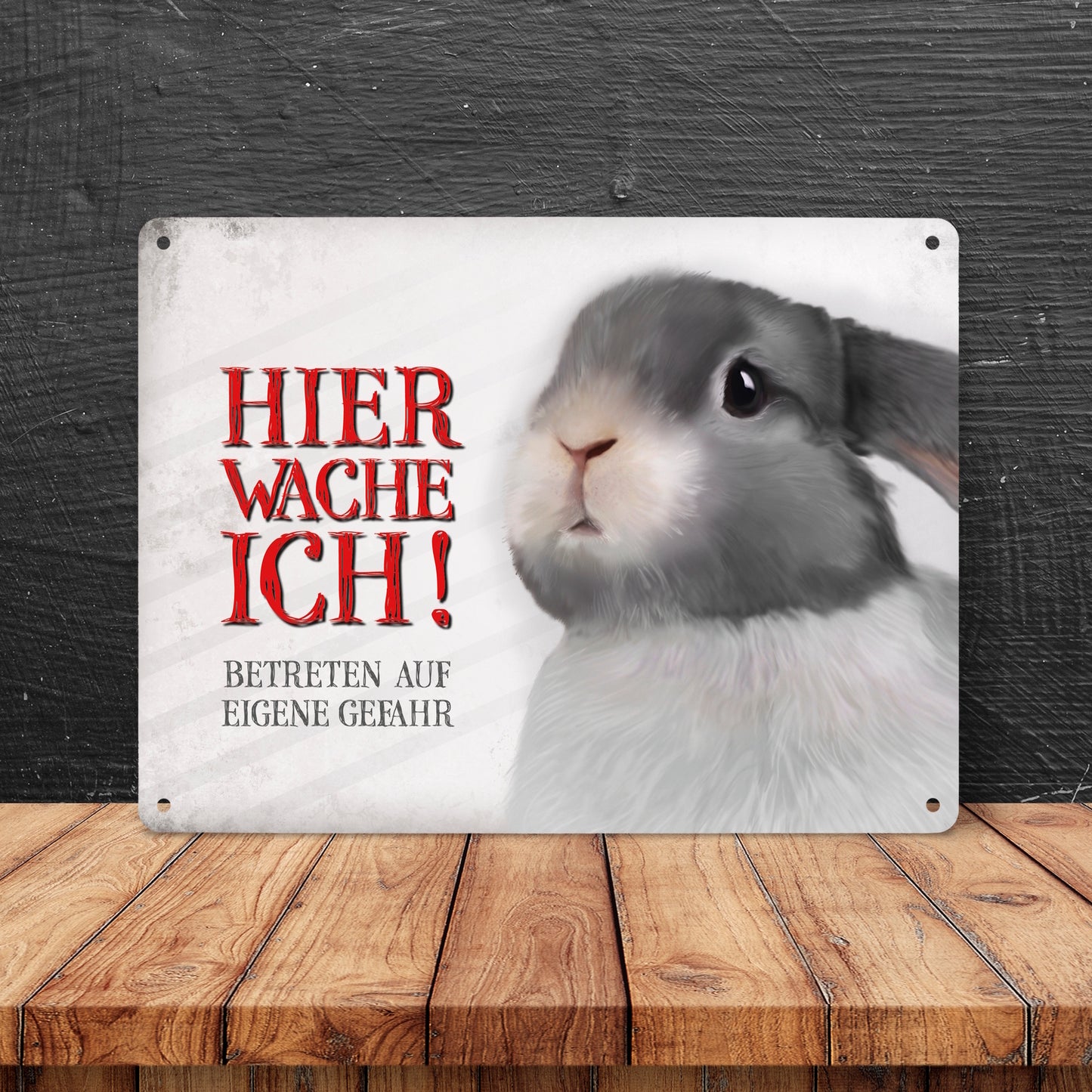 Metallschild XL mit Hase Motiv und Spruch: Betreten auf eigene Gefahr ...