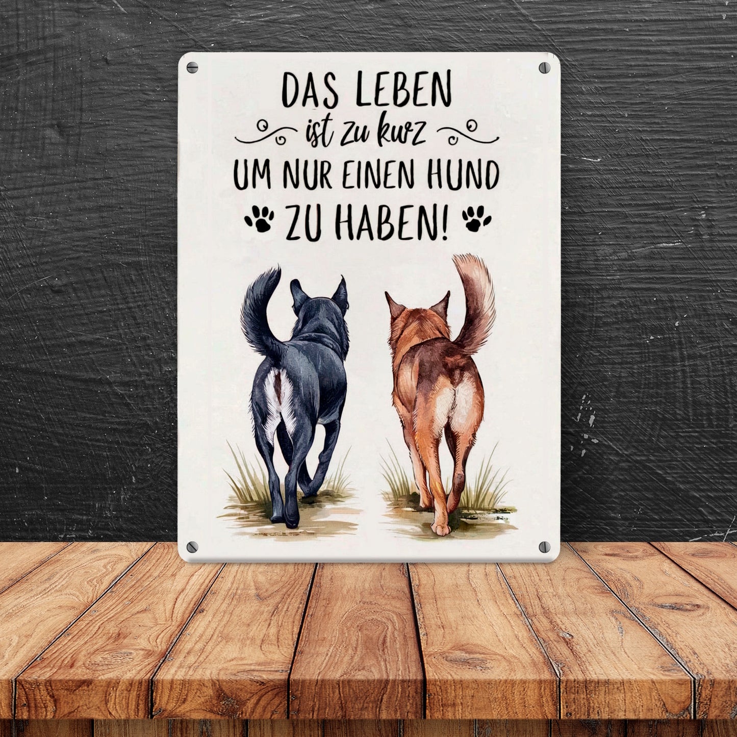 Zwei Hunde - Leben ist zu kurz Metallschild in 15x20 cm