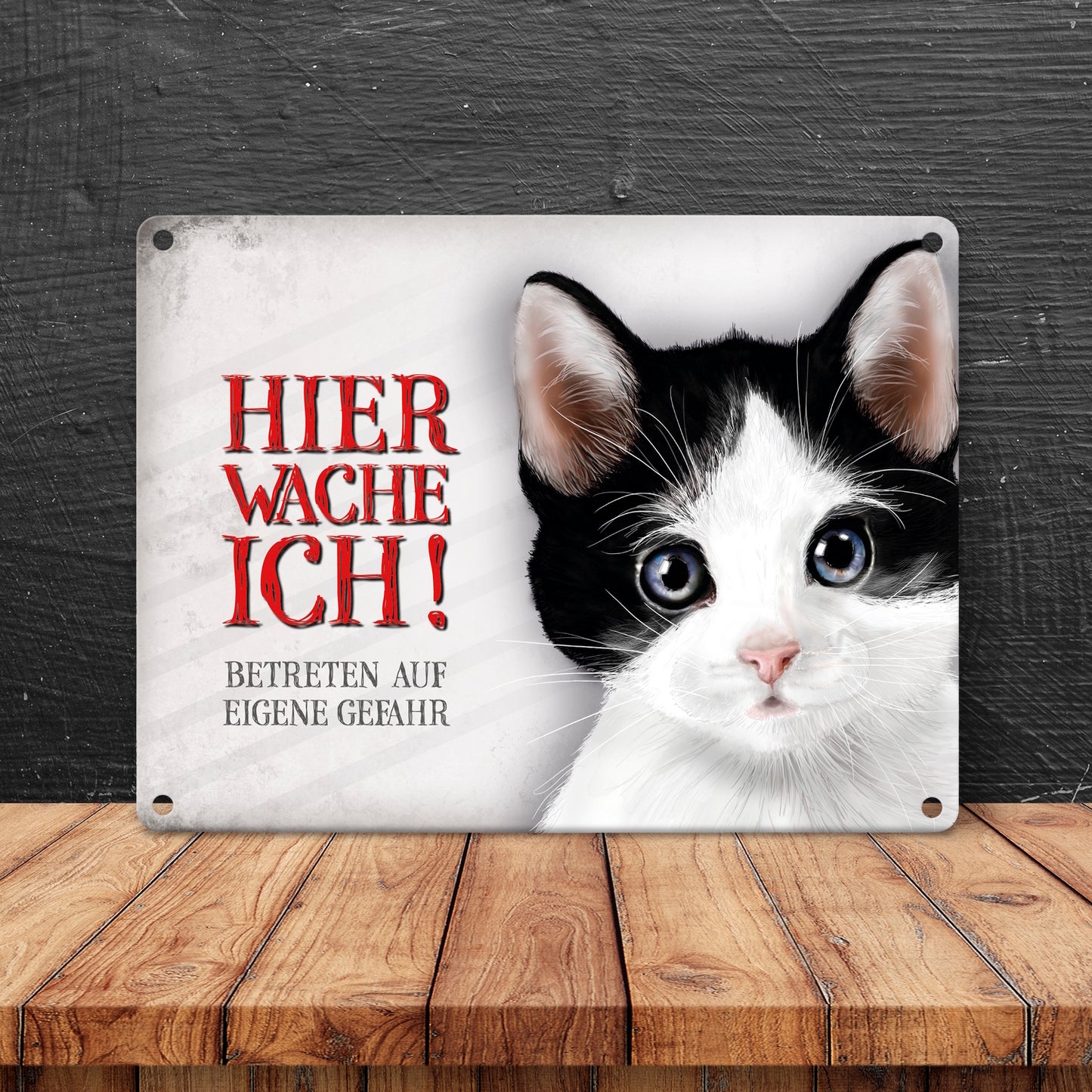 Metallschild mit Katze Motiv und Spruch: Betreten auf eigene Gefahr ...