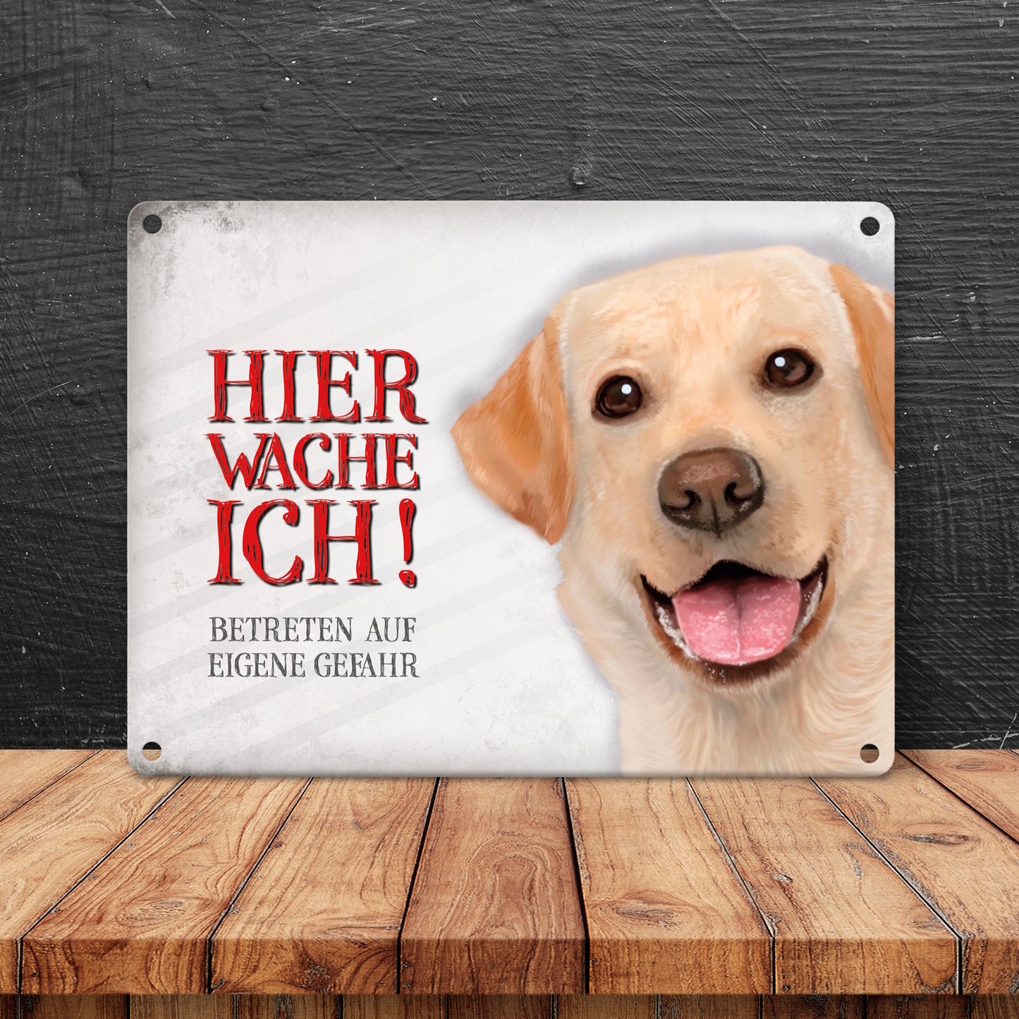 Metallschild mit Labrador Motiv und Spruch: Betreten auf eigene Gefahr ...