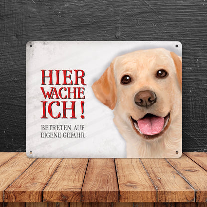 Metallschild XL mit Labrador Motiv und Spruch: Betreten auf eigene Gefahr ...