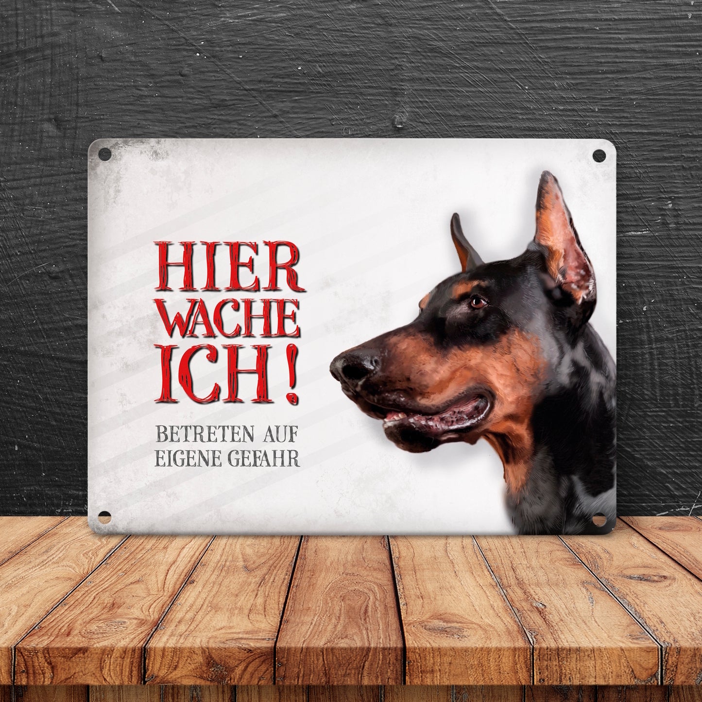 Metallschild mit Dobermann Motiv und Spruch: Betreten auf eigene Gefahr ...